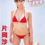 【片岡沙耶】SAWAYAKA～さやと猫と時々にぼし～/片岡沙耶